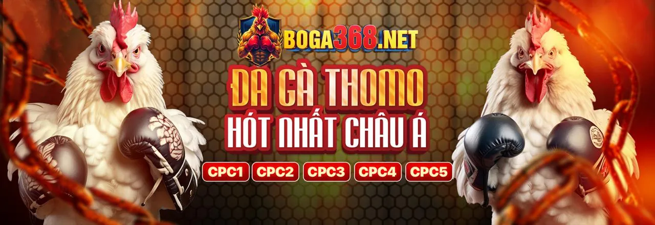 Cờ bạc công bằng và có trách nhiệm tại may88 win
